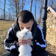 ���������� ������-��-����, ���� ������� ������, 33 ����, ������������ ��� ����� � ���������, c�������� ���������