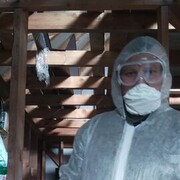 ���������� ����, ���� ������� �������, 42 ����, ������������ ��� ������, ����� � ���������, ���������