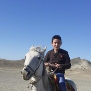 ���������� �������, ���� ������� ���������, 43 ����, ������������ ��� ������, ����� � ���������