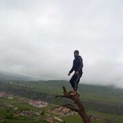  ,   , 34 ,   ,   