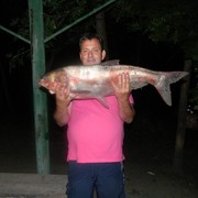 ���������� ������, ���� ������� �����, 60 ���, ������������ ��� ������, ����� � ���������, c�������� ���������