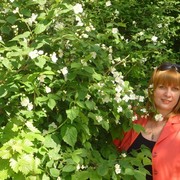  ,   , 57 ,   c 