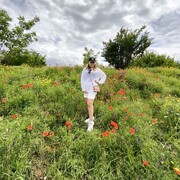 ���������� ���������, ���� ������� ������, 36 ���, ������������ ��� ������, ����� � ���������, c�������� ���������, ���������