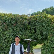  ,   , 51 ,     , c 