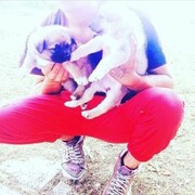 ���������� ��������, ���� ������� ������, 29 ���, ������������ ��� ������, ����� � ���������