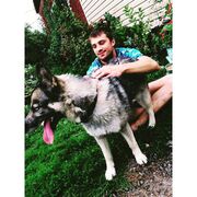 ���������� ������, ���� ������� �������, 32 ����, ������������ ��� ������, ����� � ���������, c�������� ���������