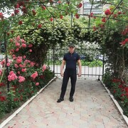  ,   , 44 ,   ,   