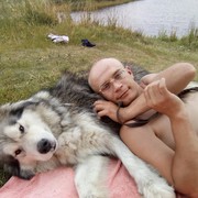 ���������� ����, ���� ������� �����, 41 ���, ������������ ��� ������, ����� � ���������, c�������� ���������