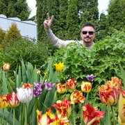 ���������� ����, ���� ������� �����, 56 ���, ������������ ��� ������, ����� � ���������, c�������� ���������