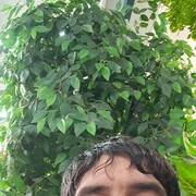  ,  , 37