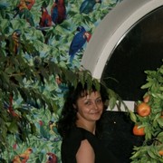 ,   , 45 ,  