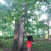 ���������� ������, ���� ������� ���������, 59 ���, ������������ ��� ������, ����� � ���������, c�������� ���������