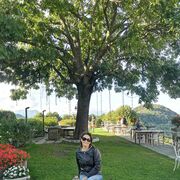 Erba,   Lana, 50 ,     , c 