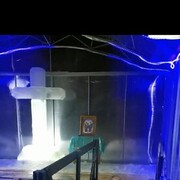 ���������� �����, ���� ������� �����, 46 ���, ������������ ��� ����� � ���������, c�������� ���������