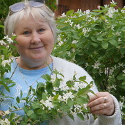 �������� � �������� ��������....