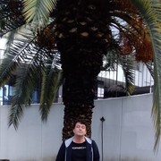  ,   , 64 ,   ,   , c 