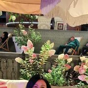  ,   , 60 ,   ,   , c 