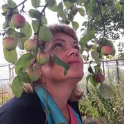 ���������� ������������, ���� ������� �������, 53 ����, ������������ ��� c�������� ���������, ���������