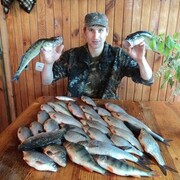 ���������� ������, ���� ������� ���������, 31 ���, ������������ ��� ������, ����� � ���������