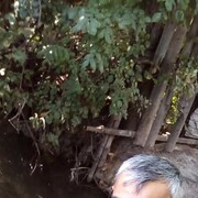  ,   , 54 ,   c 