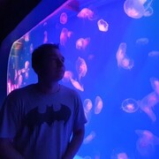 ���������� �����-���������, ���� ������� ��������, 30 ���, ������������ ��� ���������