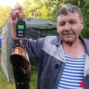 ���������� �����, ���� ������� �������, 61 ���, ������������ ��� ������, ����� � ���������