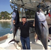  Cesme,   Ysn, 44 ,   ,   , c 