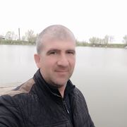 ���������� ���������, ���� ������� ����, 43 ����, ������������ 