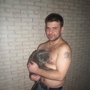 ���������� ��������, ���� ������� ��������, 43 ����, ������������ ��� ������