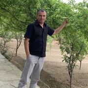  ,   , 38 ,   ,   , 