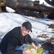 ���������� ��������, ���� ������� �������, 41 ���, ������������ ��� ���������