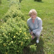  ,   Stella, 51 ,     , c 
