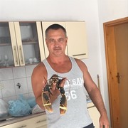  ,   , 55 ,   ,   , c 