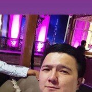  ,   Panda, 31 ,   ,   