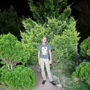 ���������� ������-��-����, ���� ������� ������, 36 ���, ������������ ��� ������, ����� � ���������, c�������� ���������