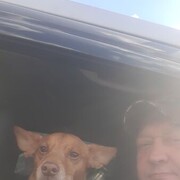 ���������� �����-���������, ���� ������� �������, 52 ����, ������������ ��� ������, ����� � ���������