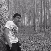 ���������� ������, ���� ������� �����, 33 ����, ������������ ��� ������, ���������