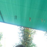 ���������� �������-����������, ������� �������, 33