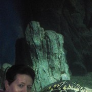 ���������� �����, ���� ������� �������, 68 ���, ������������ ��� ������, ����� � ���������, c�������� ���������