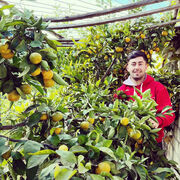 ���������� ������, ���� ������� �����, 28 ���, ������������ ��� ������, ����� � ���������