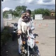 ���������� �����, ���� ������� Serg, 37 ���, ������������ ��� ������, ����� � ���������