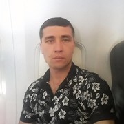  ,   Timur, 36 ,     , c , 