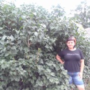  ,   , 39 ,   ,   , c 