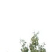 ���������� ������, ���� ������� ���������, 35 ���, ������������ ��� ������, ����� � ���������, c�������� ���������