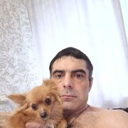  ,   , 41 ,     , c , 