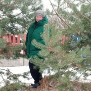 ���������� �����, ���� ������� �������, 76 ���, ������������ ��� c�������� ���������