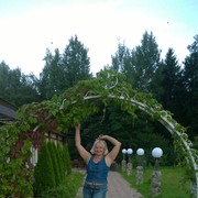 ,   , 54 ,   ,   , c 