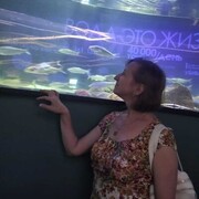 ���������� ������, ���� ������� �������, 51 ���, ������������ ��� ����� � ���������, c�������� ���������