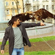  ,   Rocky, 32 ,   ,   , c 