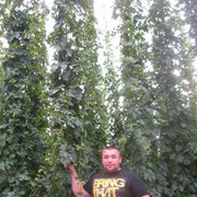 ���������� ������, ���� ������� �����, 43 ����, ������������ ��� ������